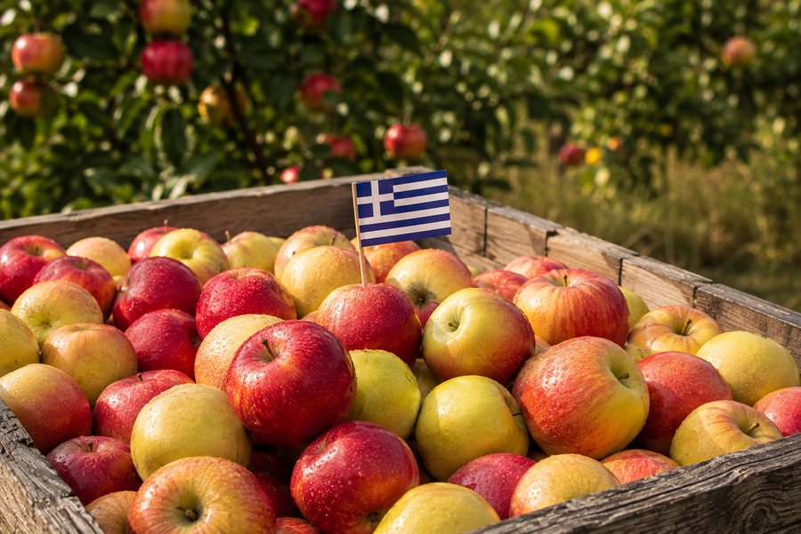 Premium Apples — Greece
